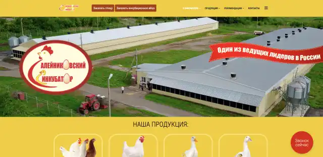 Главная страница inkubator36.ru